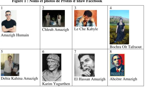 Figure 1 : Noms et photos de Profils d’Idaw Facebook  1  Amazigh Humain  2  Chleuh Amazigh  3  Le Che Kabyle  4 