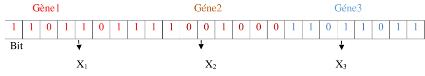 Figure .II.1 : Illustration du codage des variables