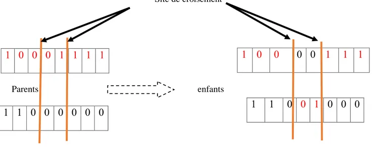 Figure II.4 Représentation schématique du croisement en deux point . II– –  Mutation :