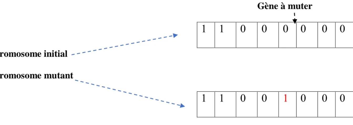 Figure II.5 Représentation schématique de la mutation simple 