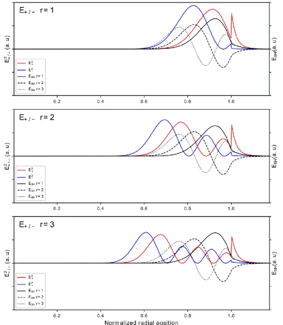 Figure S1: Representation of the radial profiles of  