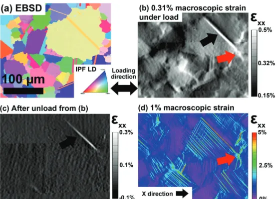 Fig. 1. An example of a high resolution DIC measurement from SEM images, taken from [18], exhibiting high strain gradients and slip localization in bands that are strongely inﬂuenced by the microstructure