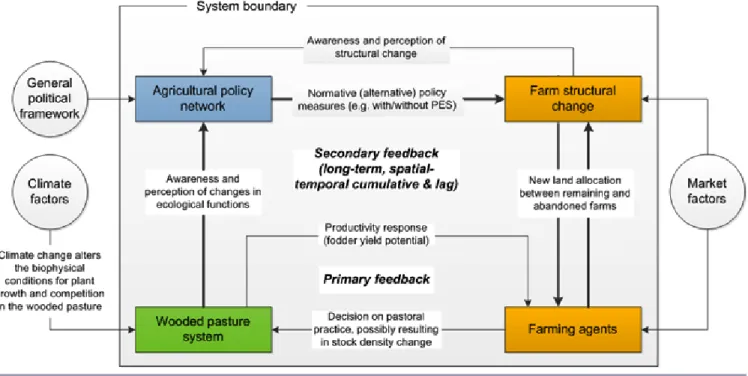 Fig. 1. The conceptual framework of a complex human-environment system with a focus on social-ecological feedback loops and adaptation in response to policy processes and instruments, as well as climate and market changes
