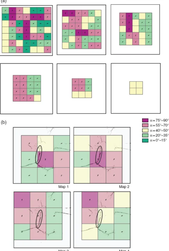Figure 10 (a) Preferred anisotropy orientation for the six pseudo-depths at the final stage