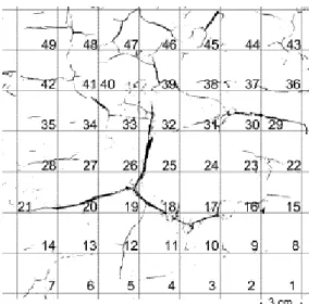 Figure 2 Binary image of the top surface of the block showing the cracking network pattern after desiccation at the end  of the experiment