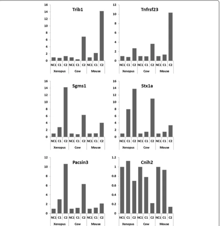 Figure 4 Expression profiles of specific orthologous genes in Xenopus, mouse, and cow