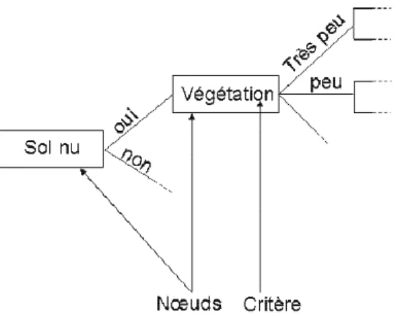 Illustration 4 : Exemple d'arbre de décision. L'arbre est composé de plusieurs nœuds ayant chacun un critère  de décision