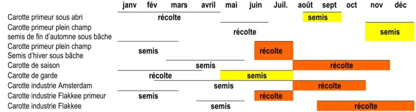 Figure 3 : Les calendriers de culture de la carotte en France 