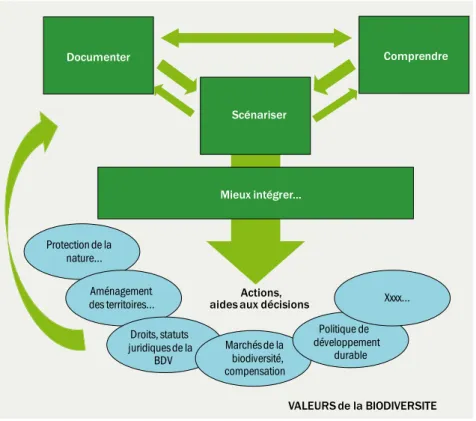 Figure 1. Schéma et cadre de raisonnement résumant les interactions entre les axes prioritaires de la présente prospective pour la recherche en biodiversité.