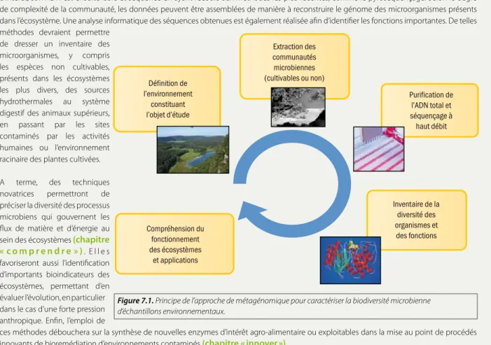 Figure 7.1. Principe de l’approche de métagénomique pour caractériser la biodiversité microbienne  d’échantillons environnementaux