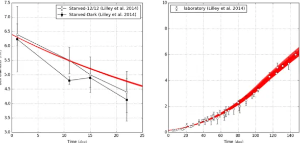 Figure 5.  Comparison of jellyfish size variations between in situ observations and outputs of the model, based  on fifty random simulations within the best parameters combinations defined by the SMCE