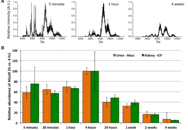 TABLE 1. Serum Creatinine Concentration after a Single Injection of AGuIX NPs (8 μ mol/mouse), Expressed as mg/L ( SD a