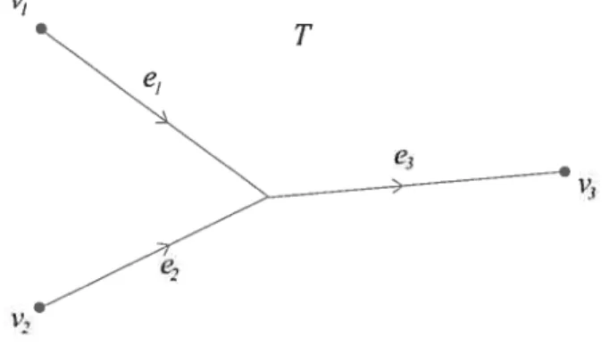 FIG. 2.5. L’arbre T.