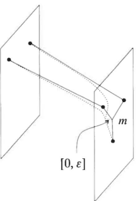FIG. 2.8. Les tripodes dans un voisinage de la brisure sont para métrés par [O, j.