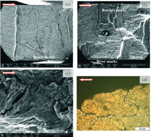 Figure 8c shows fatigue striations near the end of the crack propagation where each striation measures  approx-imately 0.92 μm corresponding to a local FCGR of 9.2 × 10 !7 m/cycle (Δ p ﬃﬃﬃﬃﬃﬃﬃﬃﬃﬃﬃJ I :E % ≃25–30 MPa p ﬃﬃﬃﬃm ).