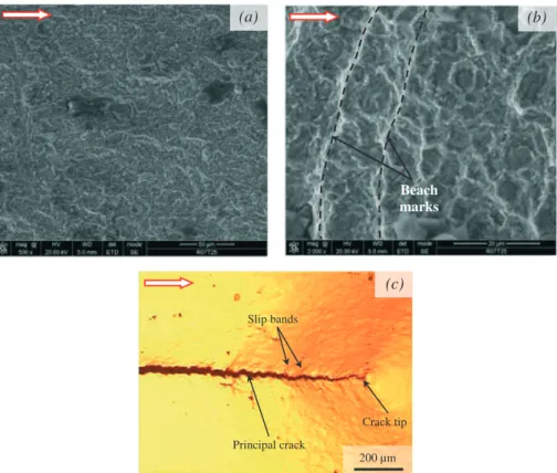 Fig. 9 Fatigue fracture surface of tested specimen at R = 0.7. (a) Near threshold fatigue crack growth, (b) high Δ ﬃﬃﬃﬃﬃﬃﬃﬃﬃﬃﬃJI'E%