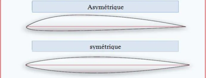 Figure I.4.  Schéma explicatif des types d‘une pale [12]. 