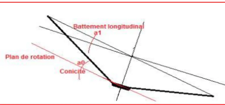 Figure II.5. Représentation de battement sur une pale [23]. 