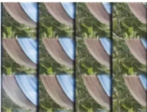 Figure 1. Close-up on diﬀerent Micro-Images (image: Laura [8])