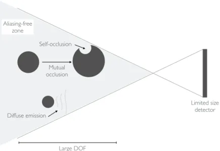 Figure 8. Challenges of volumetric scene model at the macroscopic scale. The large depth of field prevents far field scene approximations assuming that the scene consists of a flat plane with details encoded as a depth field