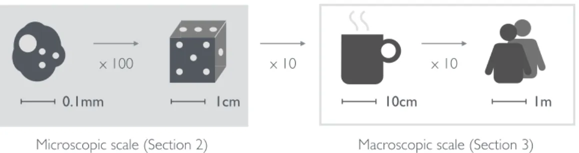 Figure 2. The microscopic scale ranges from holographic field of views of few millimeters for multiple-cell imaging to about one centimeter for metrology and 3D reconstruction of small objects
