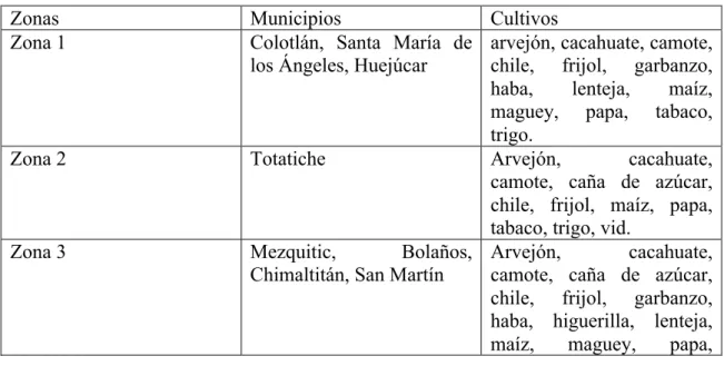 Cuadro 2: Principales cultivos de la región de Colotlán (1910) 