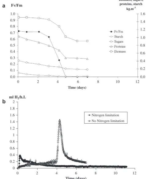 Fig. 4. Effect of a starch over-accumulation on hydrogen production in hypoxic conditions