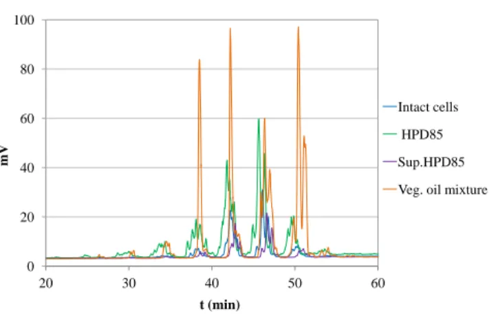 Figure 1 – Comparison of triglycerides profiles from the vegetable oils mixture and intact Parachlorella kessleri cells, ground cells (High Pressure Disruption 85%, HPD85) and supernatant (Sup.HPD85) after centrifugation.