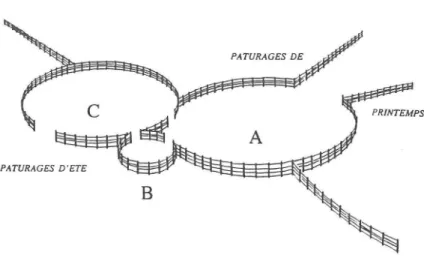 Figure 2. Disposition des enclos pour la nouvelle méthode de marquage