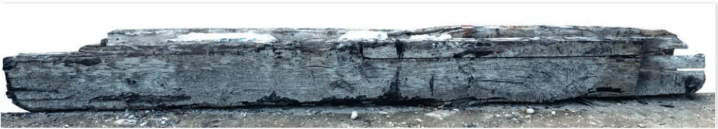 Figure 6 : Auge déposée lors des travaux sur la digue - Extrémités endommagées - 5,65 m de long.