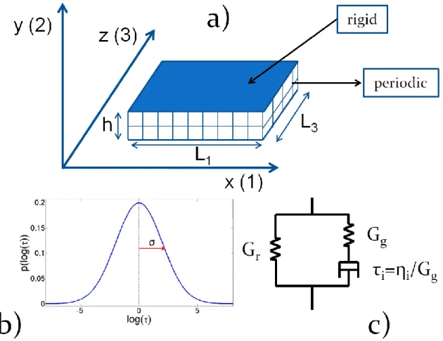 FIG.  1:  (color  online)  Schematic  representation  of  the  model.  A  viscoelastic  behavior  is  associated  to  each  domain