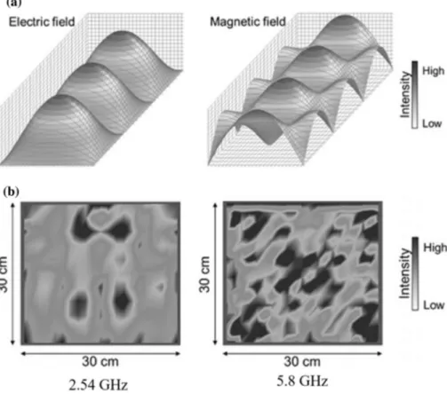 Fig. 6    Simulation of the dis- dis-tribution of a the electric and  magnetic fields in a single-mode  cavity, and b electric field in  a 30 × 30 × 30 cm multimode  one at 2.54 and 5.8 GHz