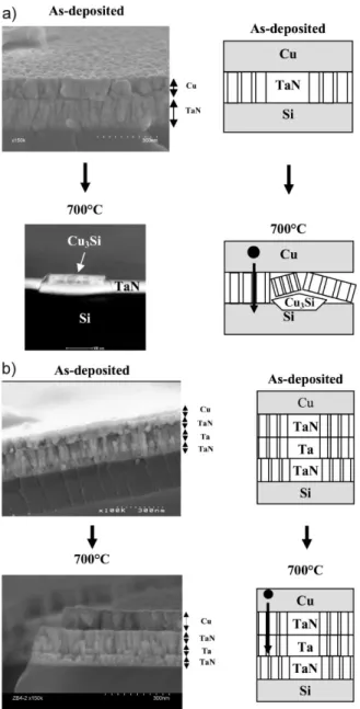 Figure 4. Schematic illustrations of the cross-sectional micro- micro-structure of samples in the as-deposited state and after  anneal-ing at 700 8C – 30 min 1 (a) Si/TaN/Cu (b) Si/TaN/Ta/TaN/Cu.