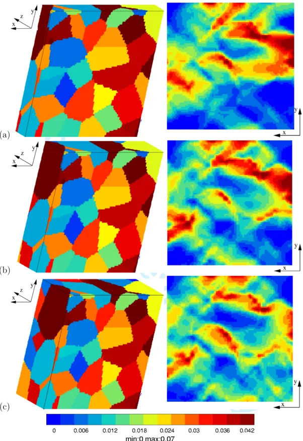Fig. 2. Influence of the sample thickness on the plastic strain field at the free surface