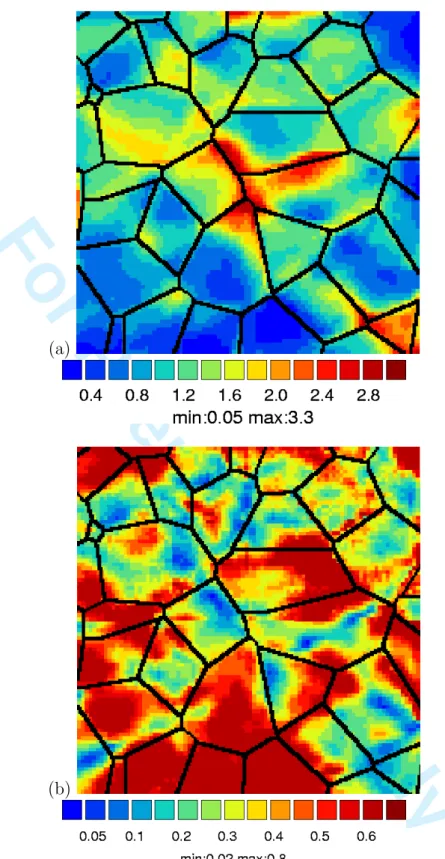Fig. 7. (a) Ensemble average of the cumulative plastic slip field γ eq (x )/< γ eq > at the constrained free surface of the polycrystalline aggregates in tension