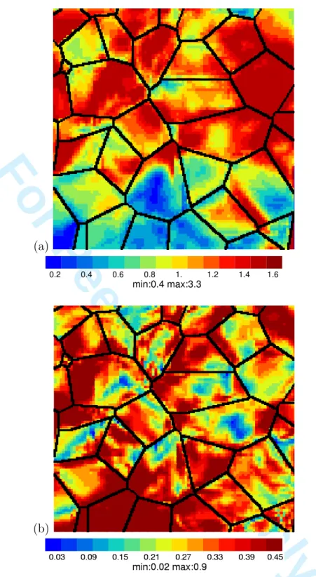 Fig. 10. (a) Ensemble average of the lattice rotation angle field φ c (x ) (in degree) at the constrained free surface of the polycrystalline aggregates in tension