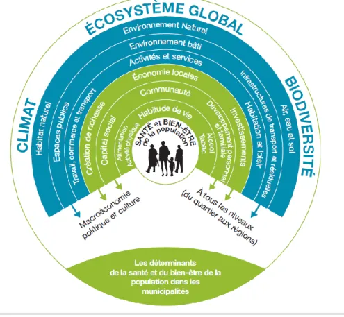 Figure 3. Représentation graphique des déterminants de la santé à travers le prisme de l’aménagement de nos territoires  (adaptée de Barton 2006 par Tremblay, 2012) dans Roué-Legall et al., 2014, p