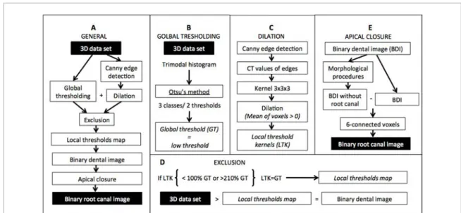 Figure 1.  Schematic representation of the adaptive local threshold method. (A) General outline of the entire algorithm