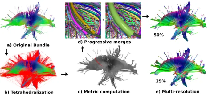 Figure 1: Multi-resolution pipeline: a) original bundle tractogram, here the thalamocortical one, b) connections created by the Delaunay tetrahedralization based on the extremities of the fibers, c) the similarity is computed for each fiber, taking into ac