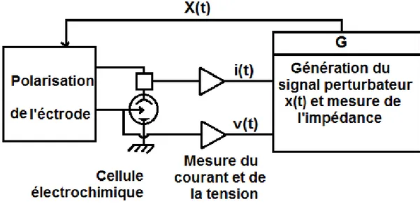 Figure II.4 : Principe du dispositif de mesure de l'impédance électrochimique(10). 