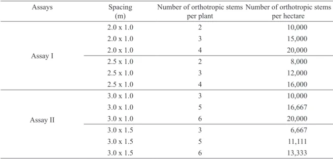 TABLE 1 - Spacing, number of orthotropic stems per plant and total population of stems per hectare evaluated in  each assay.