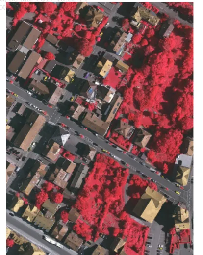 Figure 2. False-color orthoimage of Test Site #1.