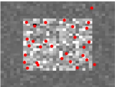 Fig. 1: Results of the LoG keypoints detection method applied on a rectangle corrupted by speckle noise and 1-look amplitude image (29 keypoints detected).
