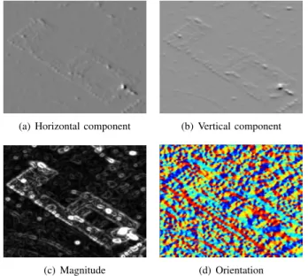 Fig. 5: Extract of Cosmo-SkyMed  R image with 34 ◦ of inci- inci-dence angle and 1m resolution.