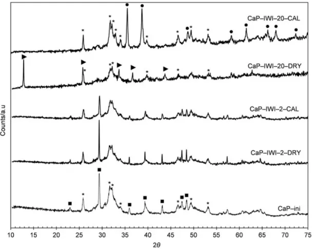 Figure 3. XRD patterns of samples prepared by IWI; (▪) calcite (CaCO 3 ); ( ⁄ ) calcium hydroxyapatite (Ca 10 (PO 4 ) 6 (OH) 2 ); ( I ) copper(II) hydroxynitrate (Cu 2 (OH) 3 NO 3 ); ( &#34; ) tenorite (CuO).
