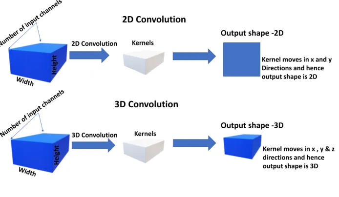 Fig. 2.4. 2D and 3D Convolution.