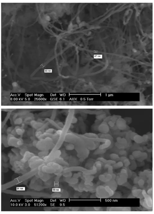Figure 6 shows SEM images of the initial Ca-HA support and nickel-doped Ca-HA particles before methane cracking reaction