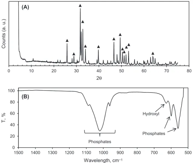 Figure 1. XRD pattern (A), and FTIR spectrum (B), of the initial Ca-HA obtained from Ca (OH) 2 and H 3 PO 4 under the synthesis conditions used