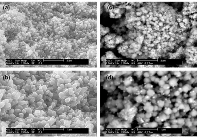 Figure 5. G analysis of the solids recovered after different times on stream; reaction conditions: