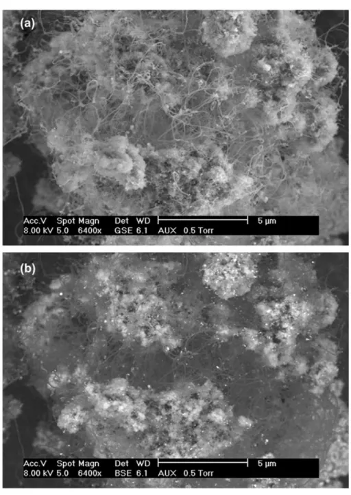 Figure 7. SEM images of CNTs/Ca-HA composite obtained after 5 h of reaction at 700 °C, 20 mL min −1 , 400 mg of Ni-doped Ca-HA, atmospheric pressure; (a) image obtained with a detector for secondary electrons (GSE); (b) image obtained with a detector for B